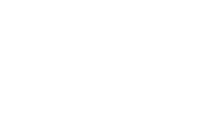 Next Level ACL